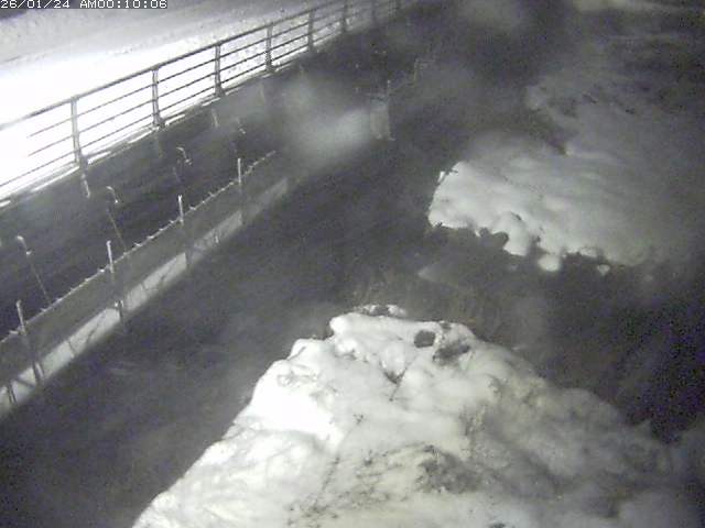 勝田川１2026/01/24 1:00:00