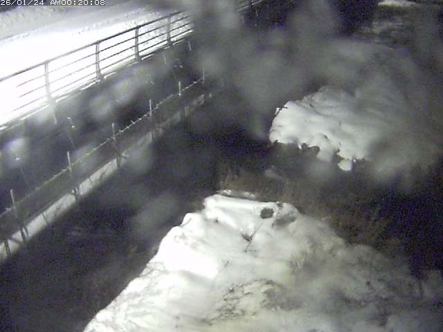 勝田川１2026/01/24 1:00:00