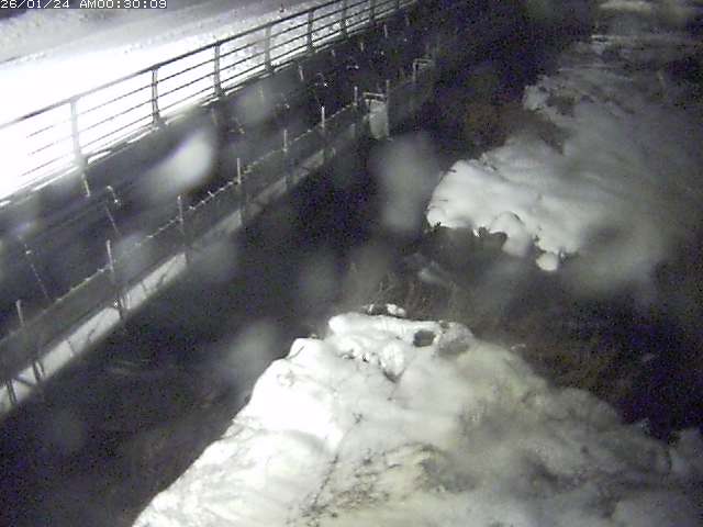 勝田川１2026/01/24 1:00:00