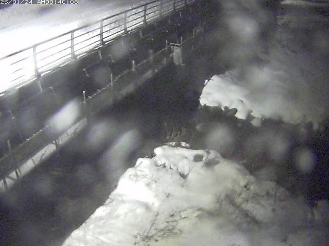 勝田川１2026/01/24 1:00:00