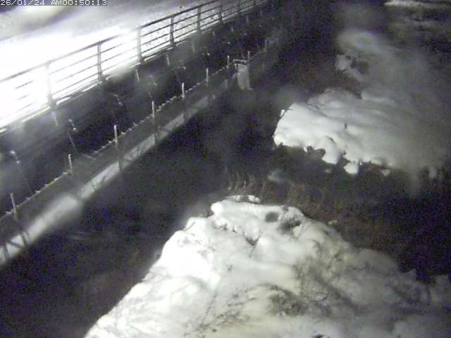 勝田川１2026/01/24 1:00:00