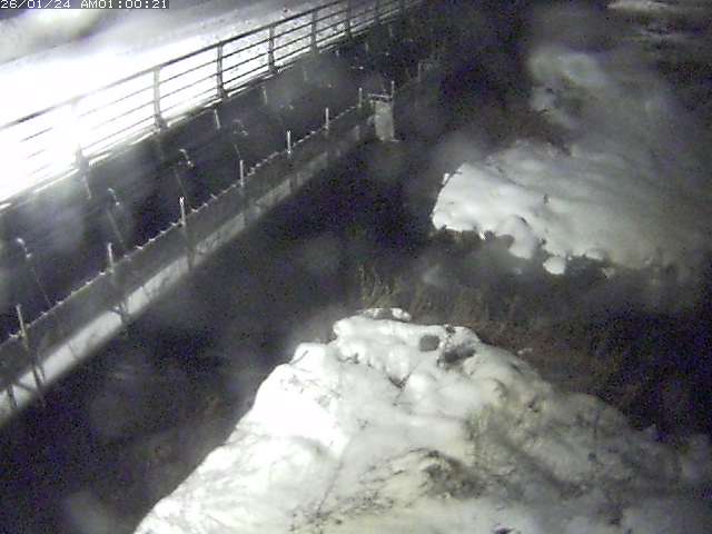 勝田川１2026/01/24 1:00:00