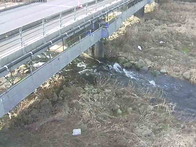 勝田川１2026/02/17 18:20:00