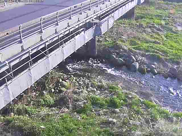 勝田川１2026/04/14 17:00:00