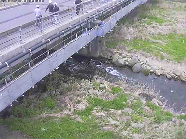 勝田川１2026/04/14 17:00:00