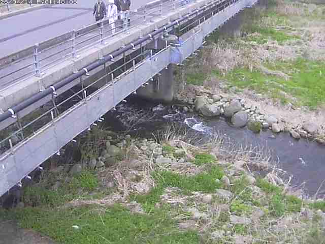 勝田川１2026/04/14 17:00:00