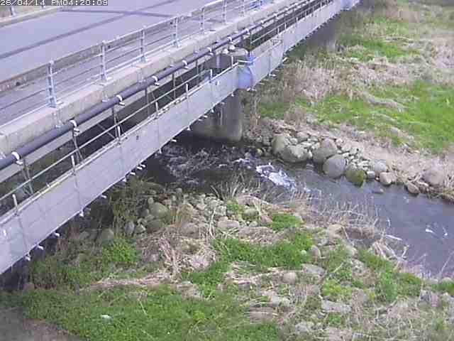 勝田川１2026/04/14 17:00:00