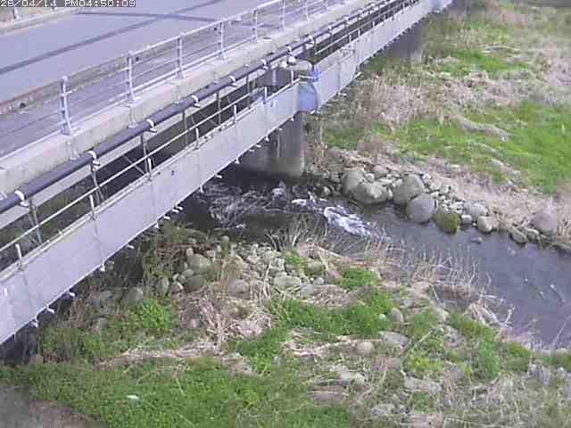 勝田川１2026/04/14 17:00:00