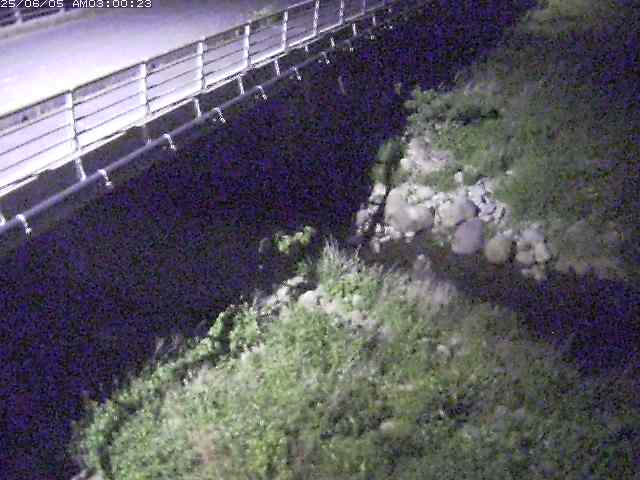 勝田川１2025/06/06 1:30:00
