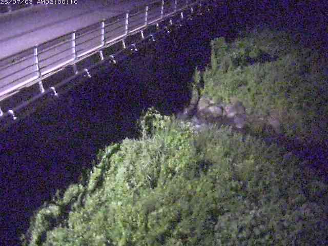 勝田川１2026/07/03 8:30:00