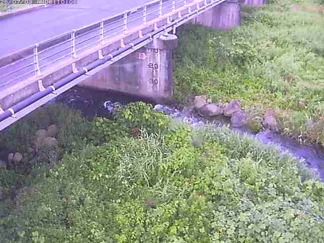勝田川１2026/07/03 8:30:00