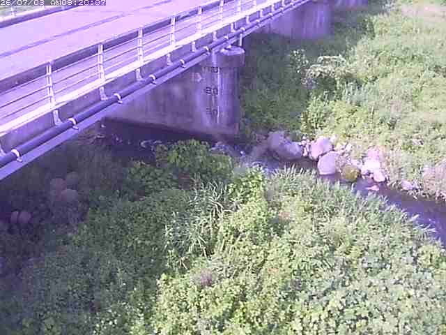 勝田川１2026/07/03 8:30:00