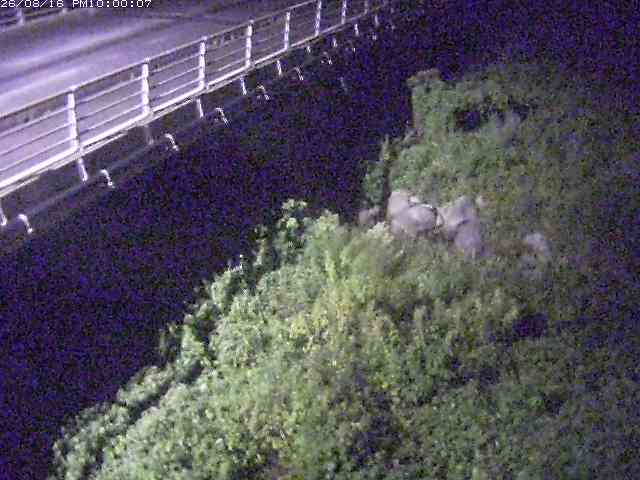 勝田川１2026/08/17 20:40:00