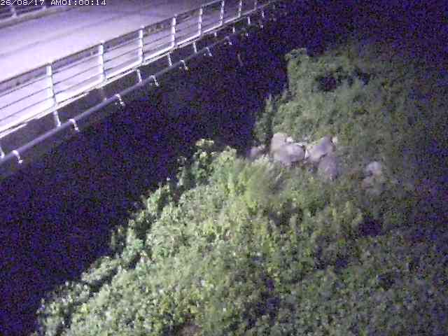 勝田川１2026/08/17 20:40:00
