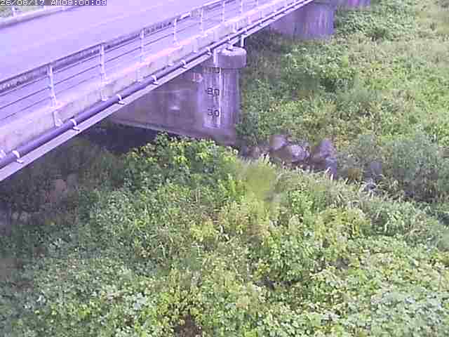 勝田川１2026/08/17 20:40:00