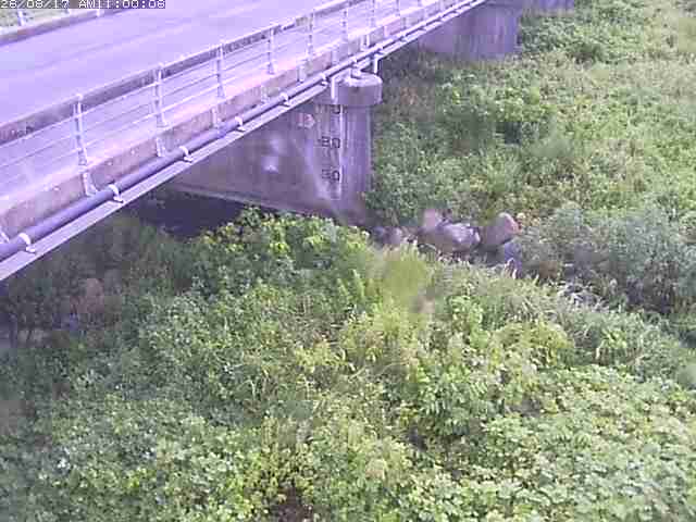 勝田川１2026/08/17 20:40:00
