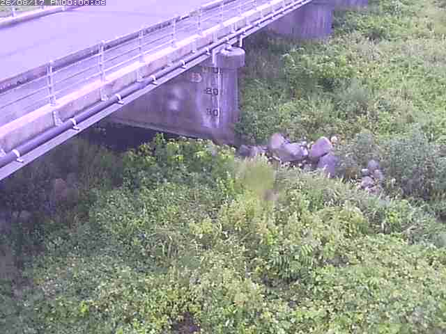 勝田川１2026/08/17 20:40:00