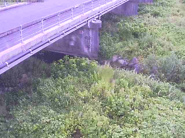 勝田川１2026/08/17 20:40:00
