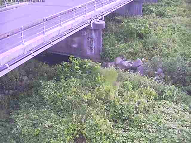 勝田川１2026/08/17 20:40:00
