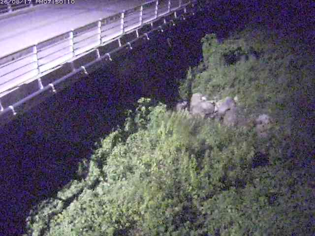 勝田川１2026/08/17 20:40:00