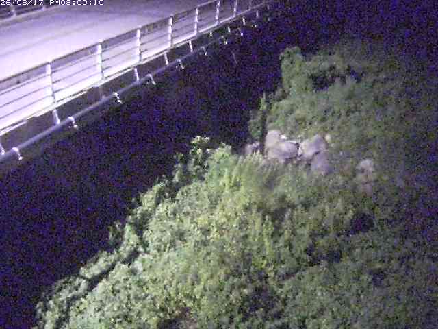 勝田川１2026/08/17 20:40:00