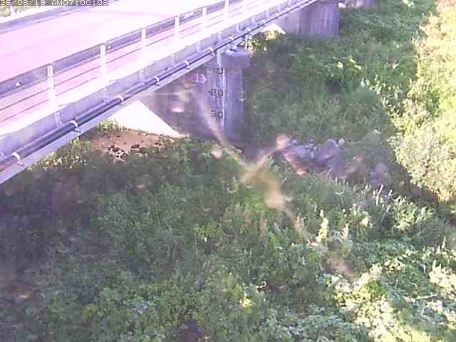 勝田川１2026/08/20 7:50:00