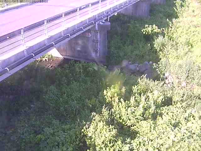 勝田川１2026/08/20 7:50:00