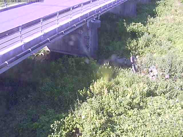 勝田川１2026/08/20 7:50:00