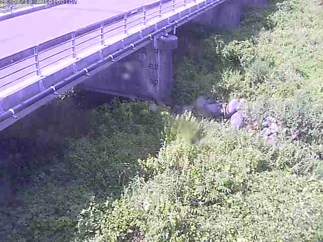 勝田川１2026/08/20 7:50:00