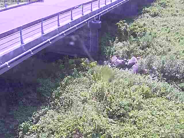 勝田川１2026/08/20 7:50:00