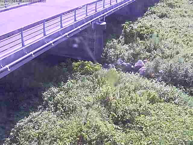 勝田川１2026/08/20 7:50:00