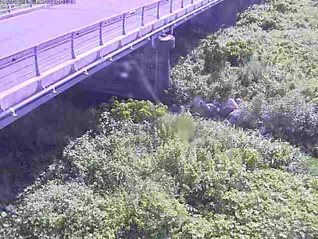 勝田川１2026/08/20 7:50:00
