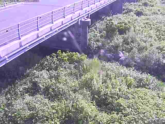 勝田川１2026/08/20 7:50:00