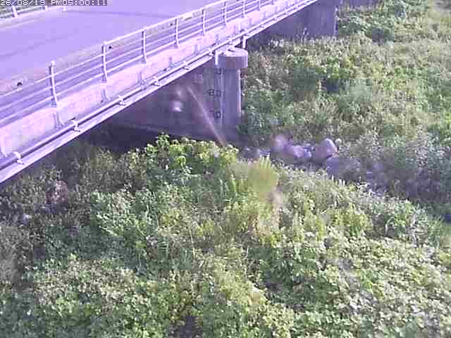 勝田川１2026/08/20 7:50:00