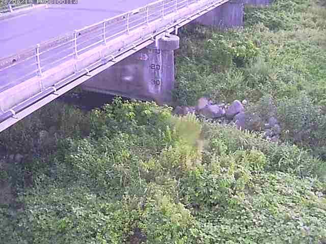 勝田川１2026/08/20 7:50:00