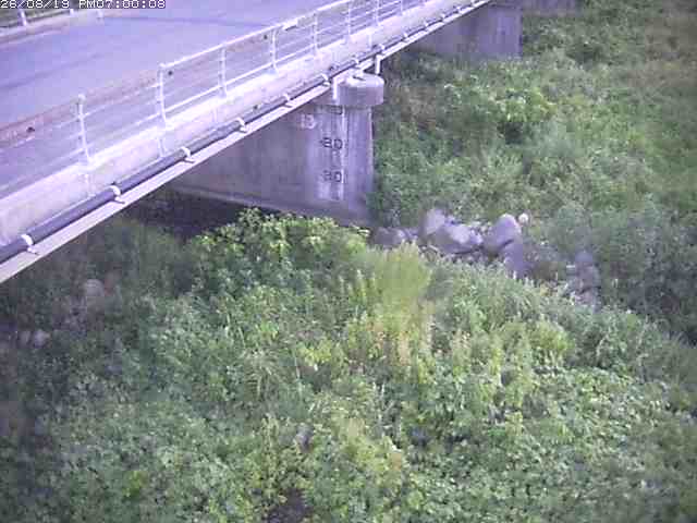 勝田川１2026/08/20 7:50:00
