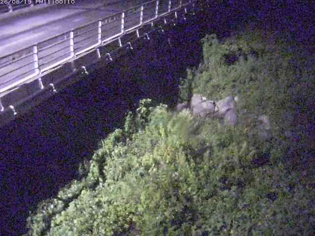 勝田川１2026/08/20 7:50:00