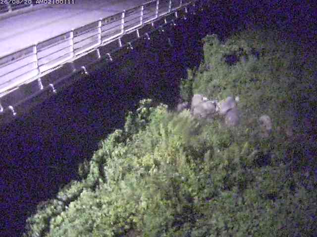 勝田川１2026/08/20 7:50:00