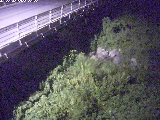 勝田川１2026/08/20 7:50:00