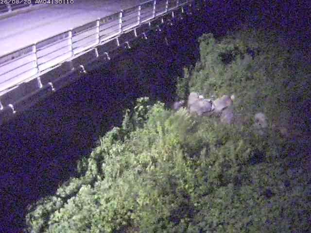 勝田川１2026/08/20 7:50:00