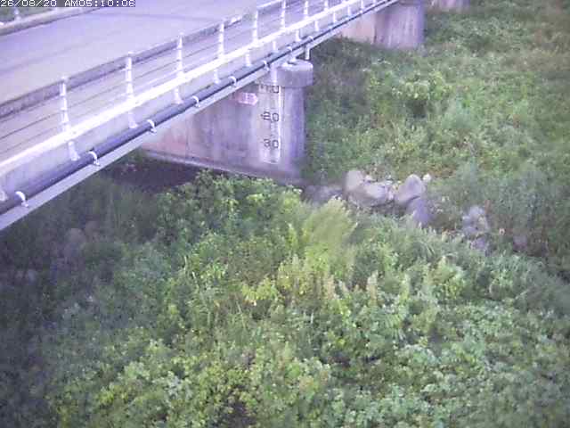 勝田川１2026/08/20 7:50:00