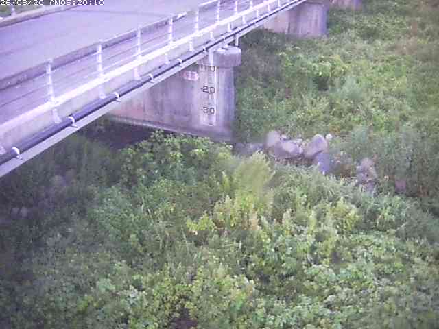 勝田川１2026/08/20 7:50:00