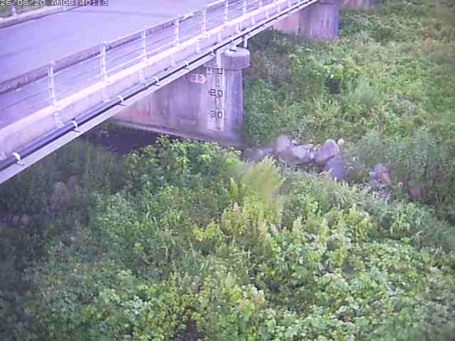 勝田川１2026/08/20 7:50:00