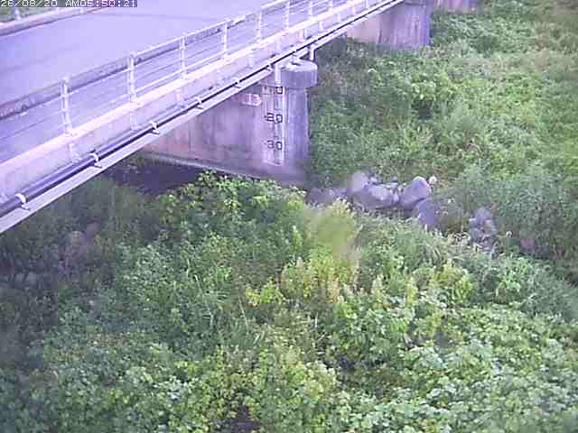 勝田川１2026/08/20 7:50:00