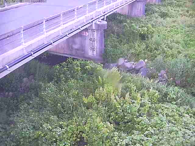 勝田川１2026/08/20 7:50:00