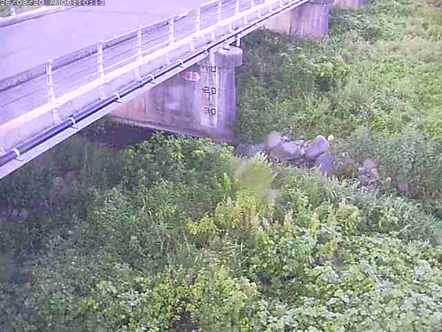 勝田川１2026/08/20 7:50:00