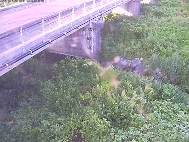 勝田川１2026/08/20 7:50:00