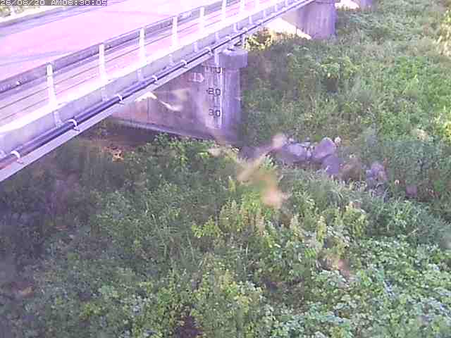 勝田川１2026/08/20 7:50:00