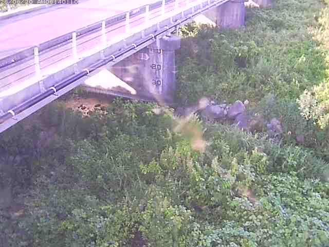 勝田川１2026/08/20 7:50:00