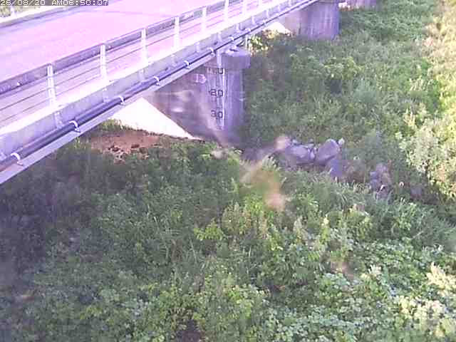 勝田川１2026/08/20 7:50:00